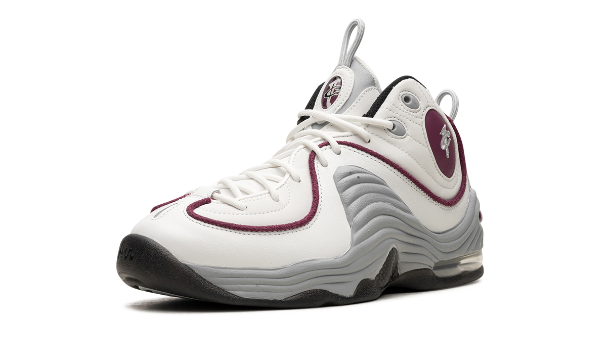 AIR PENNY 2 WMNS "Rosewood" DV1163 100