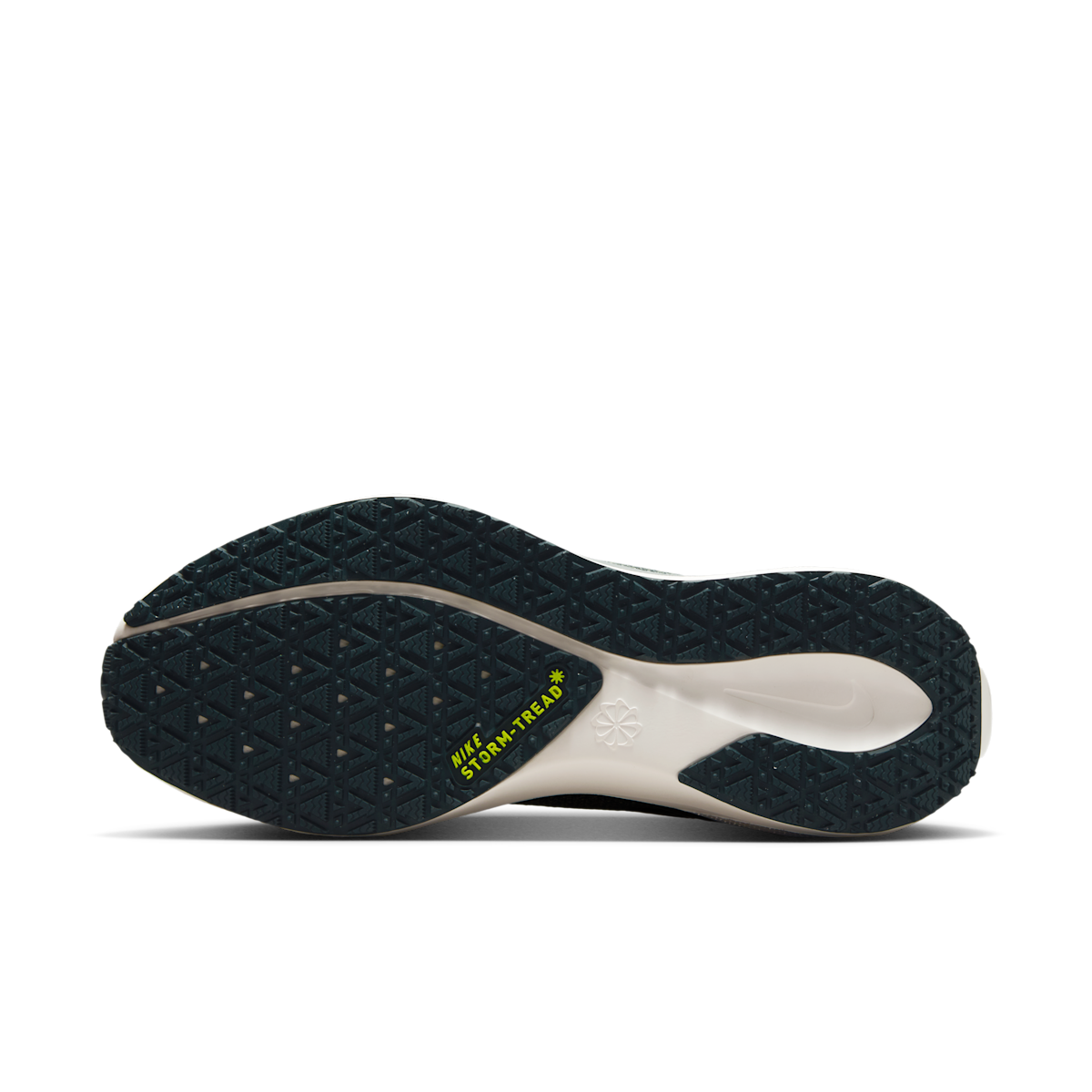 Women's Pegasus 41 GORE-TEX Waterproof Road Running Shoes