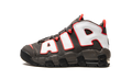 Air More Uptempo GS "Brown Bulls" DH9719 200