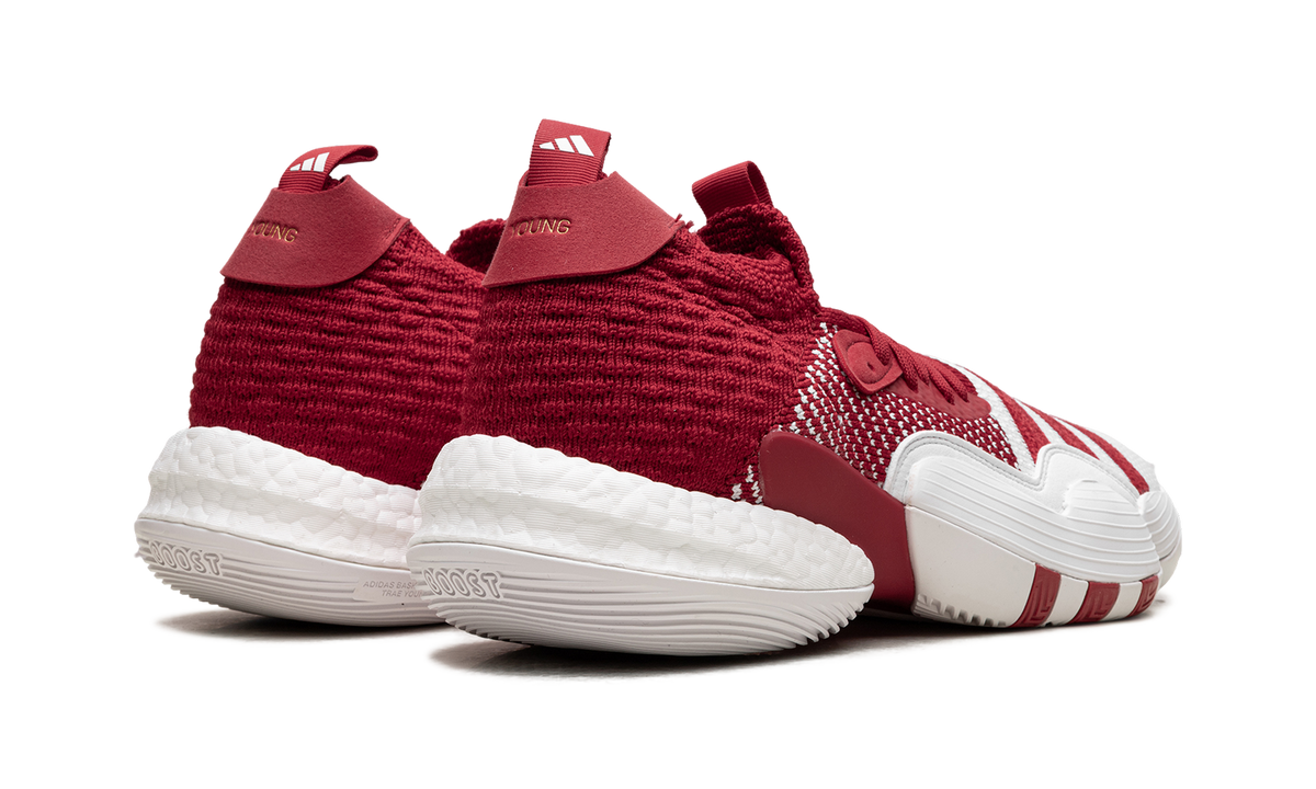 Trae Young 2.0 "Team Power Red" H03845